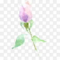 粉紫色手绘水彩花苞-空若网 粉紫色手绘水彩花苞-空若网