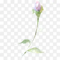 ��ɫ�ֻ�ˮ�ʻ���-������