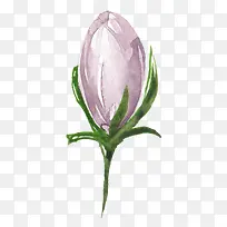 手绘花苞-空若网 手绘花苞-空若网