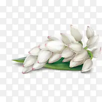 ��ɫ����ͼƬ-������