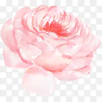 牡丹花朵水彩图案-空若网 牡丹花朵水彩图案-空若网
