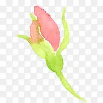 水彩花苞-空若网 水彩花苞-空若网
