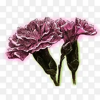 手绘粉色康乃馨-空若网 手绘粉色康乃馨-空若网