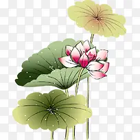 古风水彩花苞花朵-空若网 古风水彩花苞花朵-空若网