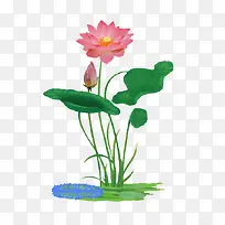 ��-�ɻ�ˮ�ʺɻ���-������