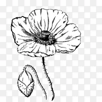 �ֻ滨��-������