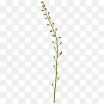 С��-������