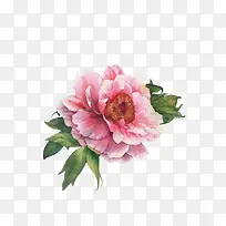 �����ֻ�-������