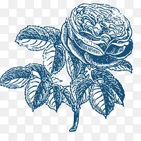 花手绘-空若网 花手绘-空若网