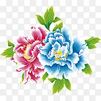 彩色手绘牡丹花朵-空若网 彩色手绘牡丹花朵-空若网
