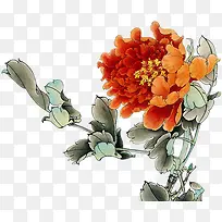 ���ջ���ɫĵ��-������