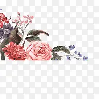 牡丹花素材-空若网 牡丹花素材-空若网