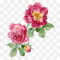 手绘卡通插画-空若网 手绘卡通插画-空若网