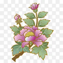 卡通手绘牡丹图-空若网 卡通手绘牡丹图-空若网