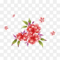 手绘牡丹-空若网 手绘牡丹-空若网