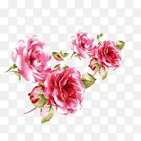 手绘牡丹花-空若网 手绘牡丹花-空若网