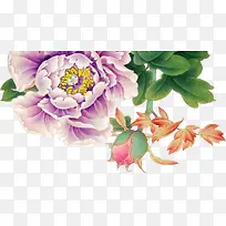 可爱富贵手绘牡丹-空若网 可爱富贵手绘牡丹-空若网