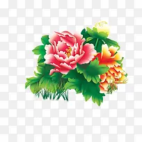 手绘牡丹-空若网 手绘牡丹-空若网