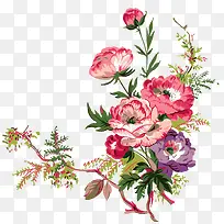 ˮ�ʺ�ɫ����ĵ����-������