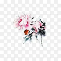 白色牡丹花白色叶子-空若网 白色牡丹花白色叶子-空若网