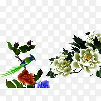 免抠牡丹花手绘-空若网 免抠牡丹花手绘-空若网