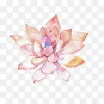 手绘花朵手绘牡丹花-空若网 手绘花朵手绘牡丹花-空若网