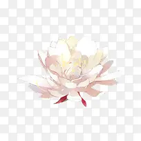 ˮ��ĵ����ֲ���ز�-������