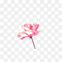 �ֻ�ĵ����-������