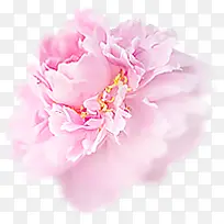 ��ɫ����ĵ����-������