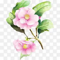 水彩牡丹花 水彩绿叶-空若网 水彩牡丹花 水彩绿叶-空若网