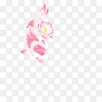 白色鲤鱼 浅红牡丹花-空若网 白色鲤鱼 浅红牡丹花-空若网