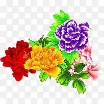 手绘彩色牡丹植物-空若网 手绘彩色牡丹植物-空若网