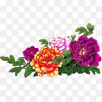 ��ɫ��ɫĵ����ҶͼƬ-������