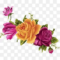 手绘彩色牡丹-空若网 手绘彩色牡丹-空若网