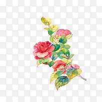 牡丹花水墨画设计-空若网 牡丹花水墨画设计-空若网