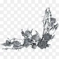 ĵ�������ֻ�-������