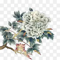 ��ɫĵ�����ֻ�-������