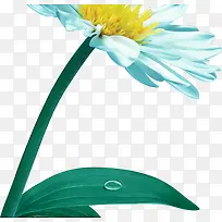 ��ɫĵ��������-������