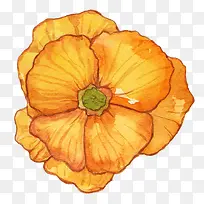 �����ֻ�-������