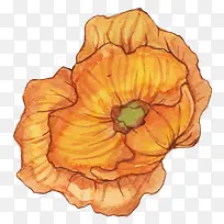 花朵手绘-空若网 花朵手绘-空若网