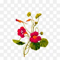 �ֻ�ֲ�ﻨ��-������