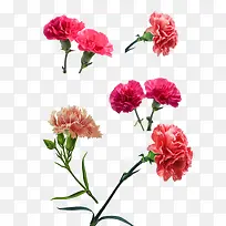 ����ܰ����-������