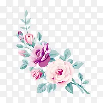 �ֻ�ֲ�ﻨ��-������