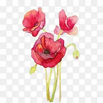 �ֻ�ֲ�ﻨ��-������