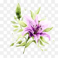 手绘植物花卉-空若网 手绘植物花卉-空若网