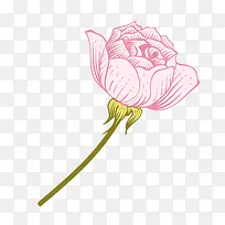 �ֻ�ֲ�ﻨ��-������