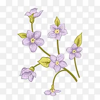 手绘植物花卉-空若网 手绘植物花卉-空若网