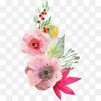 手绘植物花卉-空若网 手绘植物花卉-空若网