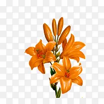 �ֻ�ٺϻ�-������