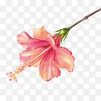 �ֻ�ֲ�ﻨ��-������